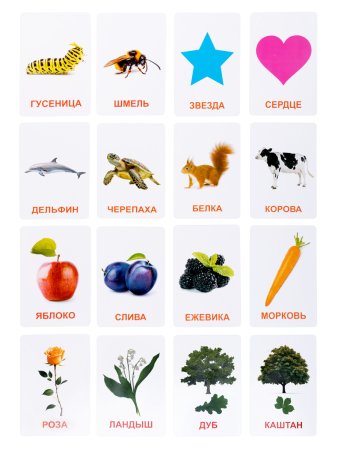 Обучающие карточки "Мир вокруг" 128 картинок KOR-05980