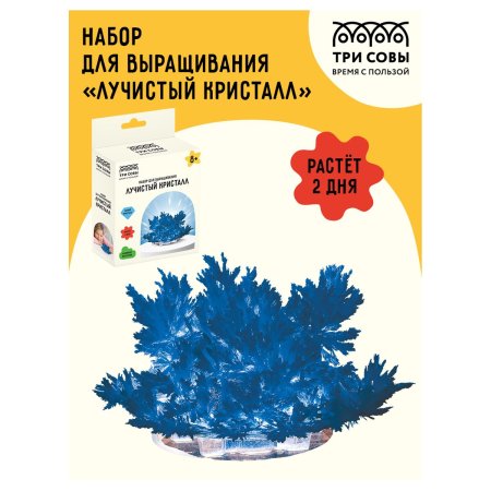 Набор для выращивания кристаллов ТРИ СОВЫ "Лучистый" синий RE-ВКл_48896