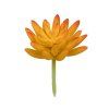 Декоративный элемент "суккулент" Blumentag 1 шт 7 x 10.5 см ASU-13-01