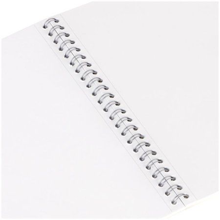 Альбом для рисования 48л. A4 Greenwich Line "Antique art" 160 г/м2, на гребне, мат. ламинация, перфорация на отрыв, жесткая подложка RE-PS48c-36872