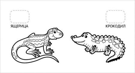 Первая раскраска с наклейками. Удивительные животные ROS-35449