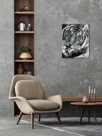 Кристальная (алмазная) мозаика ФРЕЯ на подрамнике "Черно-белый тигр" 40 х 50 см ALPD-128