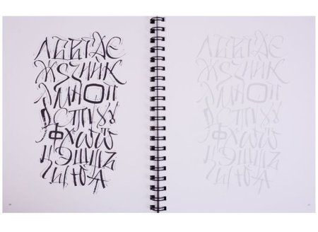 Книга: Экспрессивная каллиграфия. 20 стилей для практики MIF-179030