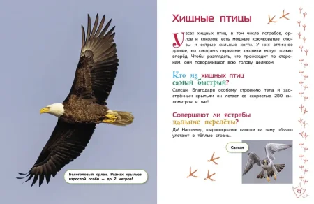 Книга: Животные. Большая детская энциклопедия EKS-713713