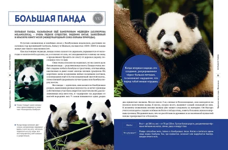 Книга: Красная книга мира. Животные EKS-798963