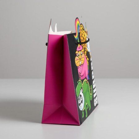 Пакет подарочный "Surpprise" 25 x 26 x 10 см SIM-5266626