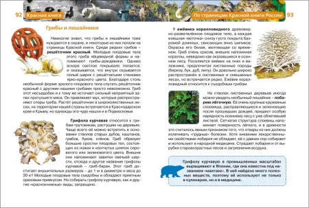 Книга: Красная книга (ДЭР) ROS-21996