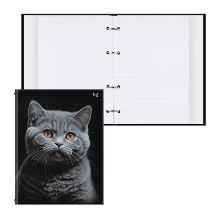 Тетрадь на кольцах 160л. A5 BG "Кот" глянцевая ламинация RE-ТТ5к160_лг_62925