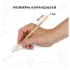 Карандаш ч/г Красин "Конструктор" ТМ (HB) шестигранный, заточен RE-С-317 Карандаш ч/г Красин "Конструктор" ТМ (HB) шестигранный, заточен RE-С-317