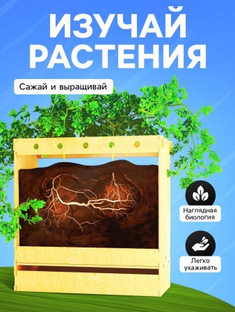 Набор для опытов ЭВРИКИ "Твоя экоферма" 2 в 1 SIM-9279944