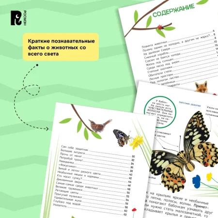 Книга: Животные. Энциклопедия для первого чтения с крупными буквами ROS-40218