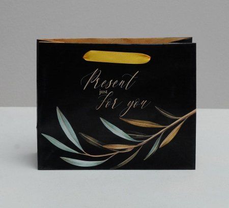 Пакет ламинированный горизонтальный "Present just for you" 22 x 17.5 x 8 см 4766885