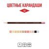 Набор цветных карандашей VISTA-ARTISTA Fine Скинтонс 12 цв VFCPS-12