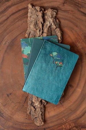 Блокнот CLAIREFONTAINE Ginkgo A5 90 г/м2 72 л, в линейку, мягкая обложка из натуральной кожи, ассорти RH-115949C Блокнот CLAIREFONTAINE Ginkgo A5 90 г/м2 72 л, в линейку, мягкая обложка из натуральной кожи, ассорти RH-115949C