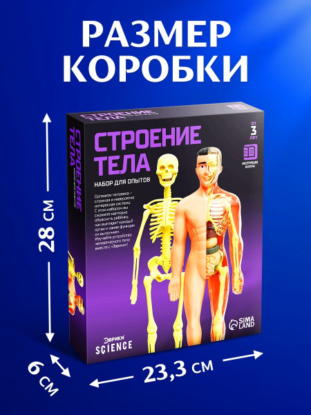 Набор для опытов ЭВРИКИ "Строение тела" №SL-00702B 2772939