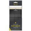 Набор графитных карандашей ОПП ВКФ "Проект" заточенный 12 шт ассорти 12P-4010