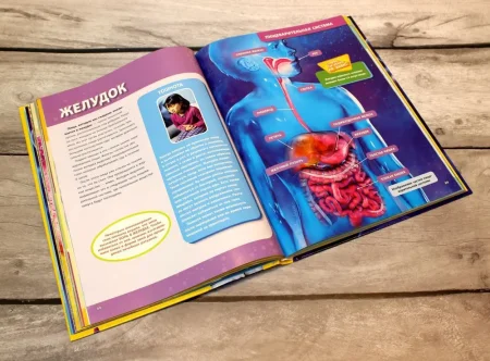 Книга: Большая энциклопедия. Тело человека EKS-019549