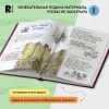 Книга: Моя школьная энциклопедия ROS-39034 Книга: Моя школьная энциклопедия ROS-39034