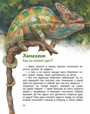 Книга: Динозавры и другие пресмыкающиеся MIF-692928