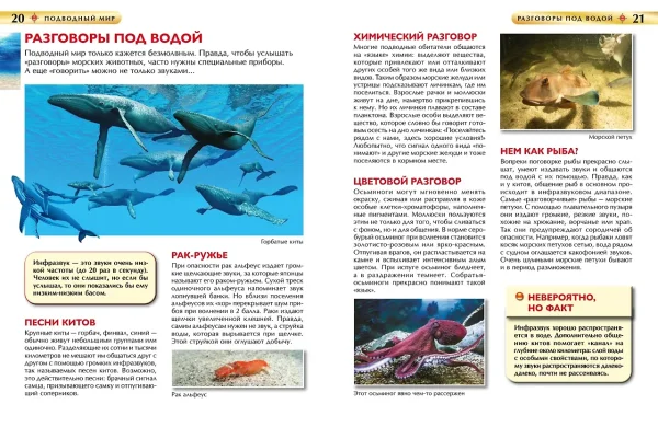 Книга: Подводный мир. Детская энциклопедия ROS-62597