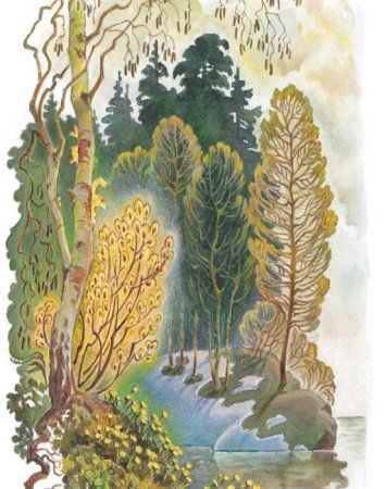 Книга: Успей прочитать к школе! Самые нужные стихи, рассказы, сказки ROS-36545