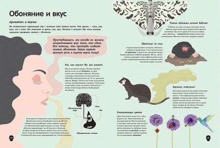 Книга: Тело человека. Визуальный гид ROS-36713 Книга: Тело человека. Визуальный гид ROS-36713