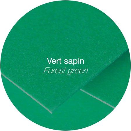 Конверт CLAIREFONTAINE Pollen DL 110 x 220 мм 120 г/м2 1 шт, зеленый лес RH-5595C
