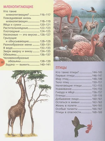 Книга: Большая энциклопедия знаний (нов. ) ROS-39033