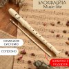 Музыкальный инструмент Блокфлейта Music Life 8 отверстий, немецкая система, сопрано SIM-4417173 Музыкальный инструмент Блокфлейта Music Life 8 отверстий, немецкая система, сопрано SIM-4417173