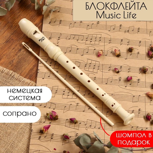 Музыкальный инструмент Блокфлейта Music Life 8 отверстий, немецкая система, сопрано SIM-4417173