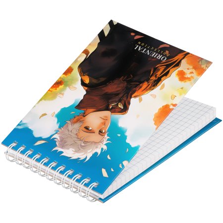 Блокнот A6 80л. BG "Аниме. Story" твердая обложка, глянцевая ламинация, на гребне RE-Бт6гр80_лг_12782