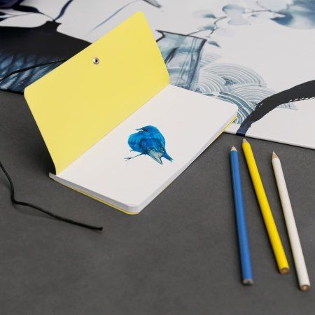 Блокнот CLAIREFONTAINE Inkebana 9 x 18 см 90 г/м2 40 л, без линовки, на завязке, ассорти RH-115932C