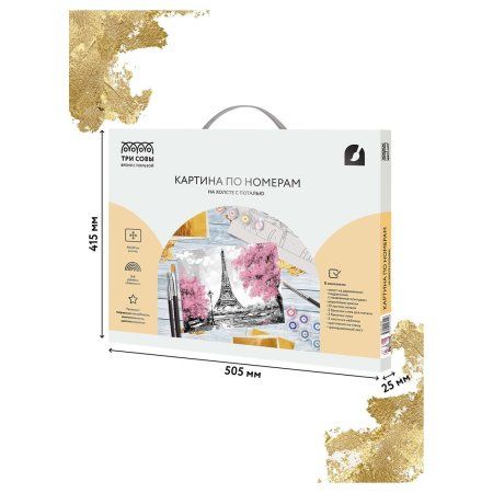Картина по номерам на холсте ТРИ СОВЫ "Париж" 40 x 50 см, поталь, краски, кисть RE-КХп_48154