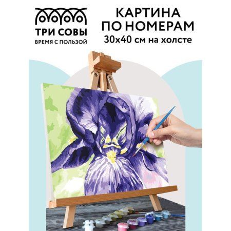 Картина по номерам на холсте ТРИ СОВЫ "Ирис" 30 x 40 см с акриловыми красками и кистями RE-КХ_44105