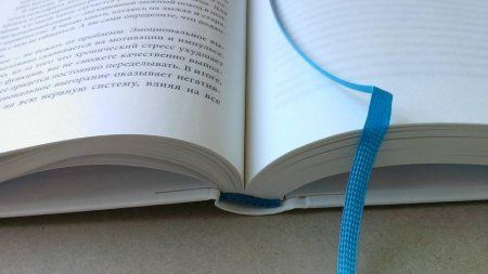 Книга: Невозможное как стратегия. Как нейронаука помогает добиваться экстремальной продуктивности в бизнесе MIF-699095 Книга: Невозможное как стратегия. Как нейронаука помогает добиваться экстремальной продуктивности в бизнесе MIF-699095