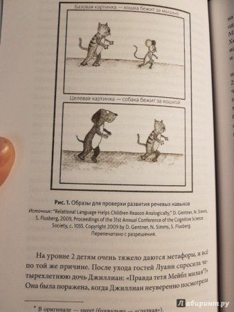 Книга: Знать или уметь? 6 ключевых навыков современного ребенка MIF-009818 Книга: Знать или уметь? 6 ключевых навыков современного ребенка MIF-009818