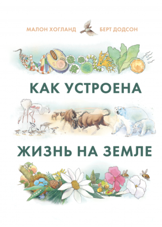 Книга: Как устроена жизнь на Земле MIF-469377