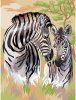Картина по номерам на холсте ТРИ СОВЫ "Зебры" 30 x 40 см с акриловыми красками и кистями RE-КХ_44128