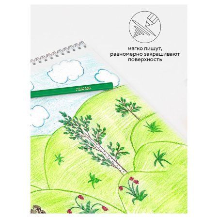 Карандаши цветные пластиковые ГАММА "Мультики" 36 цв заточенные, ПВХ, европодвес RE-251220214