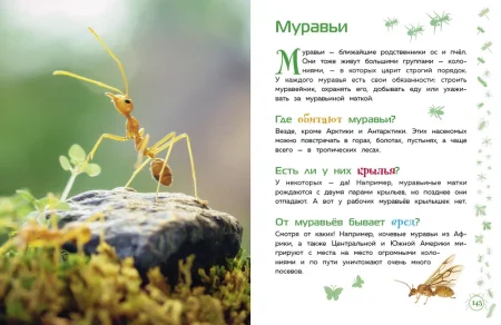 Книга: Животные. Большая детская энциклопедия EKS-713713