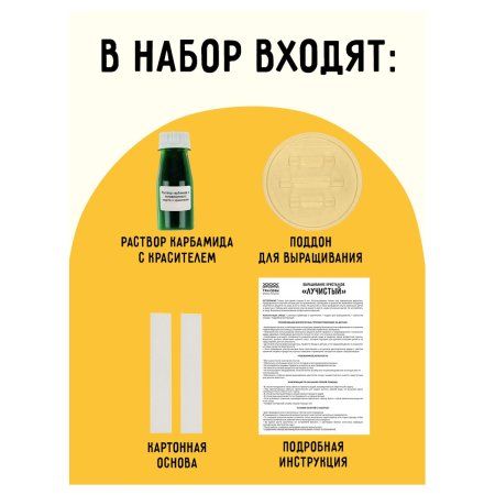 Набор для выращивания кристаллов ТРИ СОВЫ "Лучистый" зеленый RE-ВКл_48897