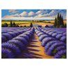 Картина по номерам на холсте ТРИ СОВЫ "Лавандовое поле" 40 x 50 см, краски, кисть RE-КХ4050_53929