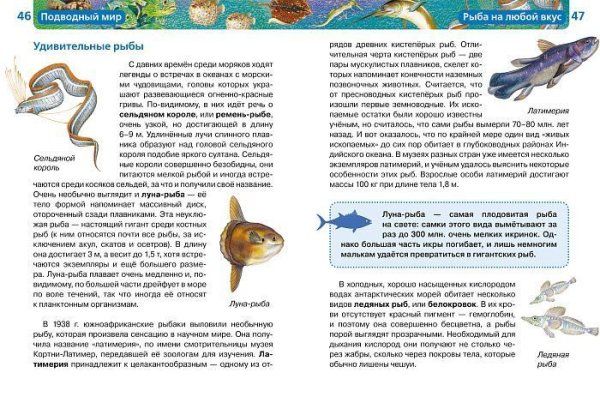 Книга: Подводный мир (ДЭР) ROS-13449