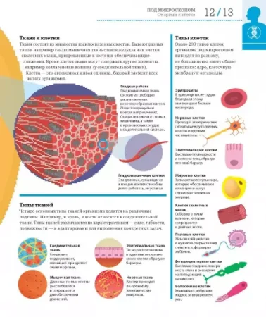 Книга: Как работает тело MIF-469278