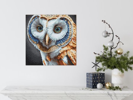 Кристальная (алмазная) мозаика ФРЕЯ на подрамнике "Золотая сова" 30 х 30 см ALPD-252