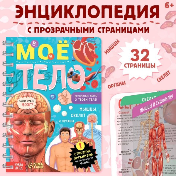 Книга: Энциклопедия с прозрачными страницами "Моё тело" 32 стр SIM-7041125