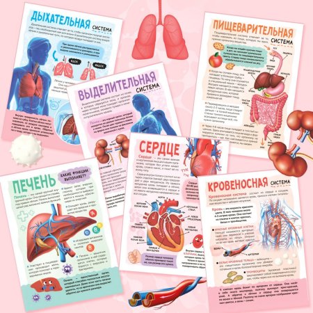 Книга: Энциклопедия с прозрачными страницами "Моё тело" 32 стр SIM-7041125