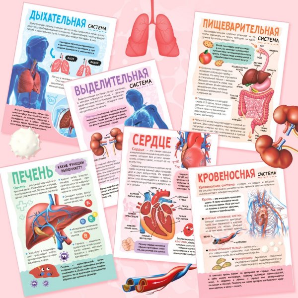 Книга: Энциклопедия с прозрачными страницами "Моё тело" 32 стр SIM-7041125