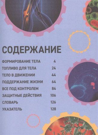 Книга: Как устроено твое тело ROS-38817