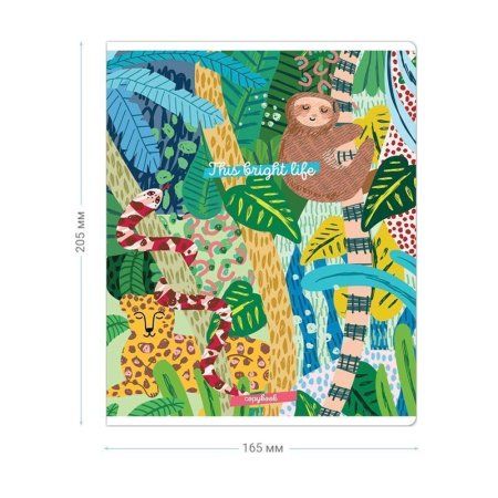 Тетрадь 96л. A5 клетка MESHU "Bright life" глянцевая ламинация RE-MS_38926